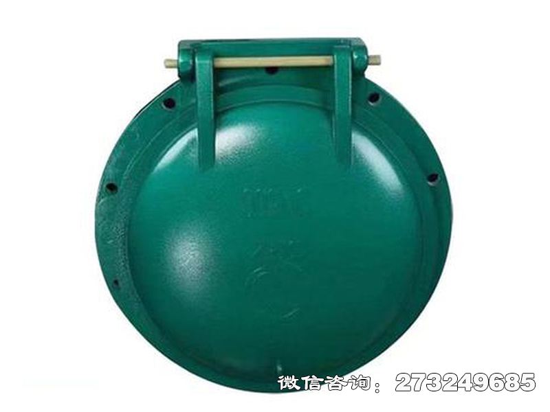 铸铁圆型潮汐防倒灌拍门