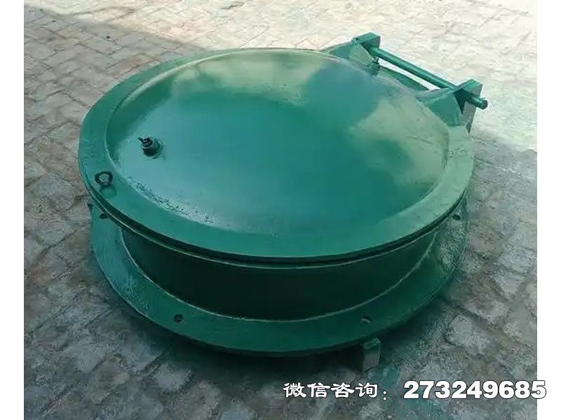 铸铁圆型一体化泵站拍门